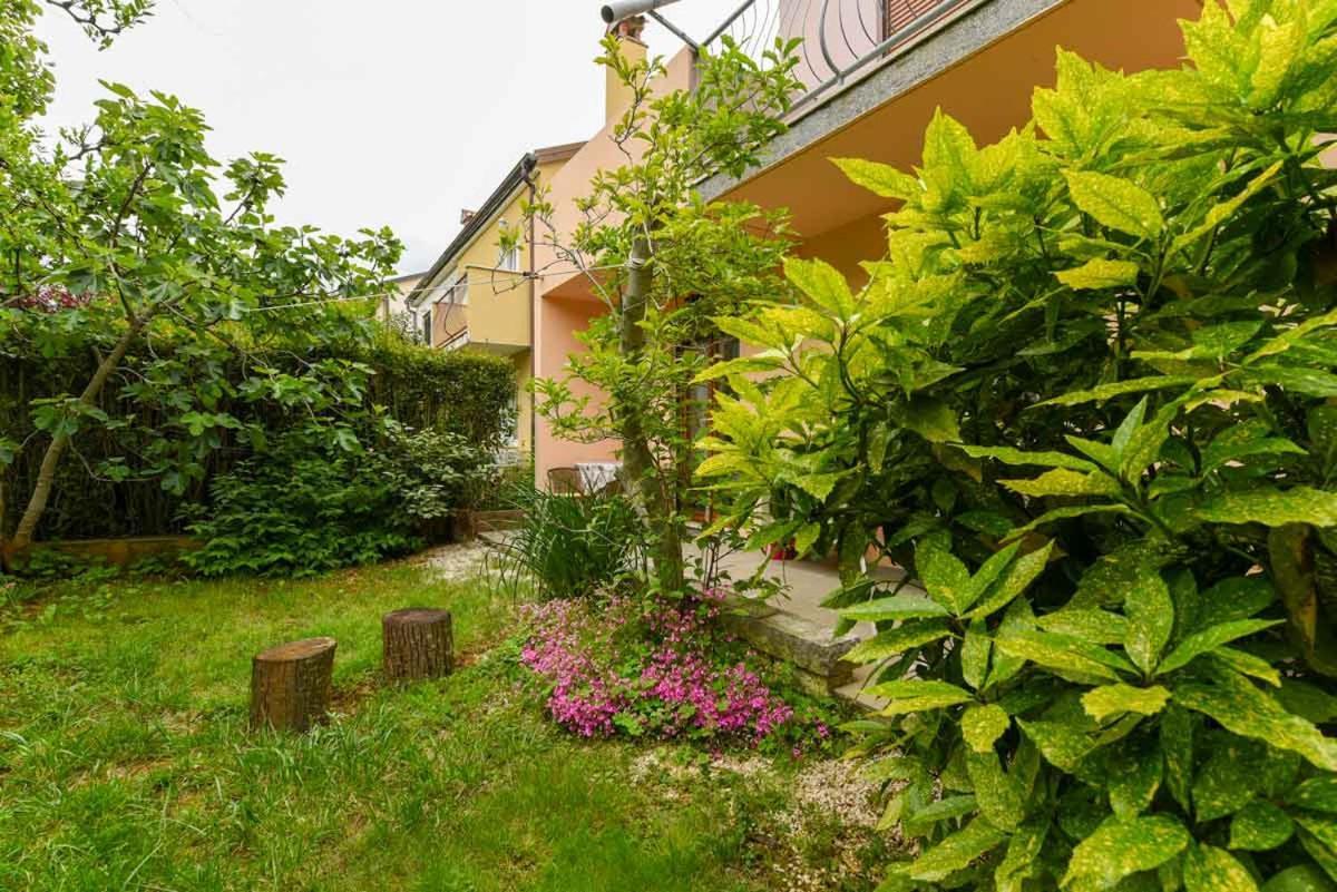 Apartments Ina & Ika روفينج المظهر الخارجي الصورة