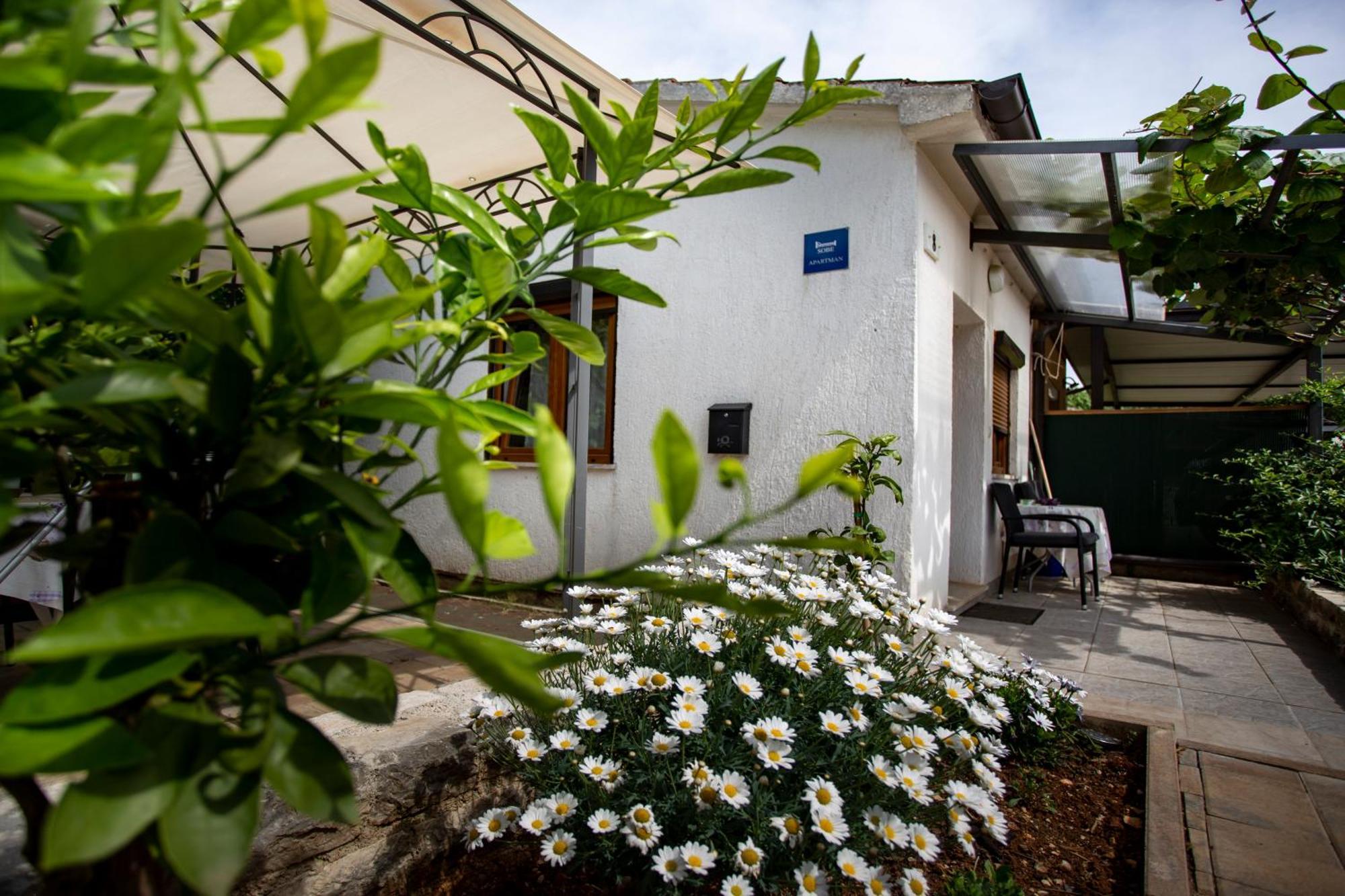 Apartments Ina & Ika روفينج المظهر الخارجي الصورة